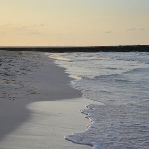 Meet your Posher, Kesha